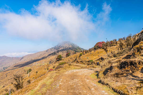 poster pemandangan alam gunung India Mountains Singalila National Park West 1Z