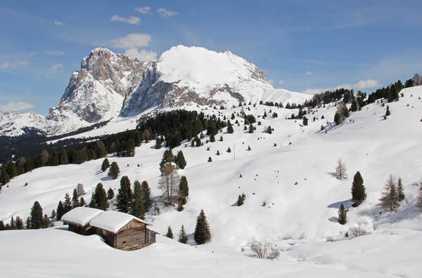 Poster Pemandangan Gunung Italy Mountains Sciliar mountain Sassolungo 1Z