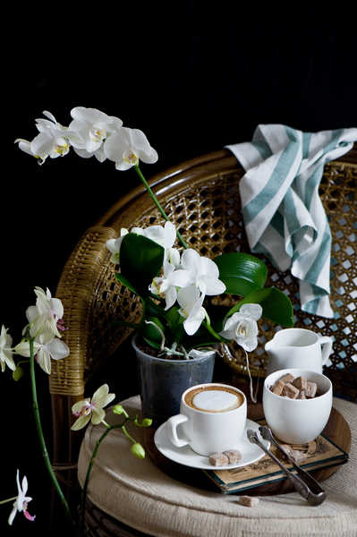 Gambar Poster Anggrek Still life Orchid Coffee Cappuccino Black WPS