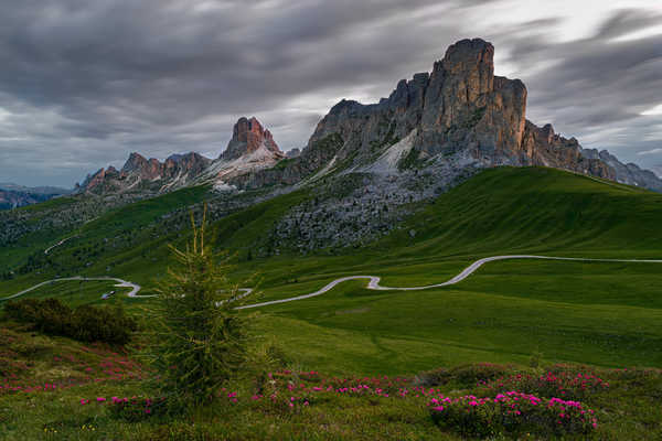 Poster Pemandangan Gunung Italy Mountains Grasslands Dolomites Alps 1Z