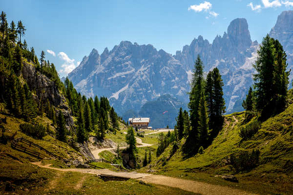 Poster Pemandangan Gunung Mountains Scenery Italy Dolomites Alps Trail Trees 1Z