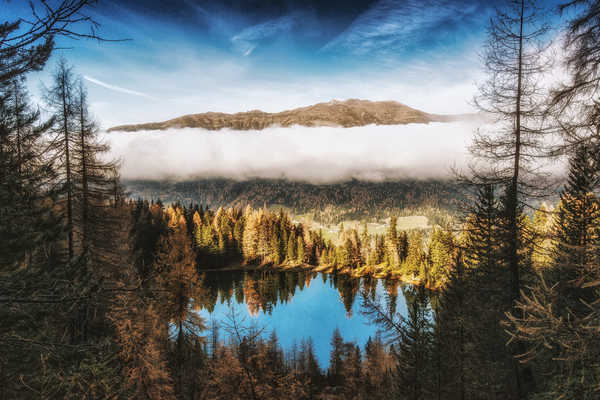 Poster Pemandangan Gunung Cloud Lake Mountain Pine Tree Lakes Lake APC