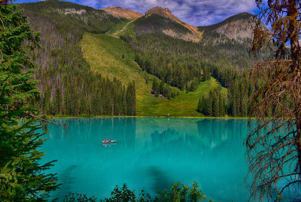 Poster Pemandangan Gunung Canada Mountains Lake Forests Emerald Lake 1Z