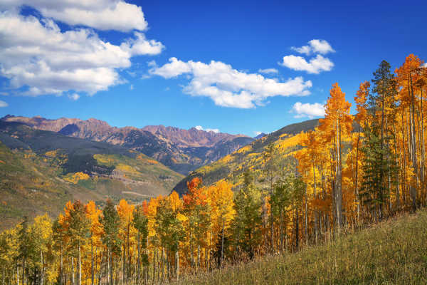 poster pemandangan alam gunung USA Autumn Mountains 1Z