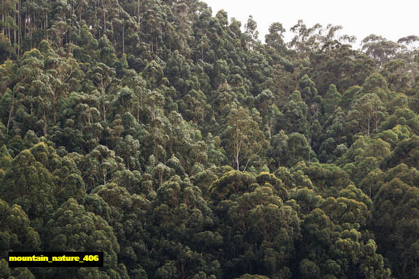 Poster Pemandangan Gunung mountain 406