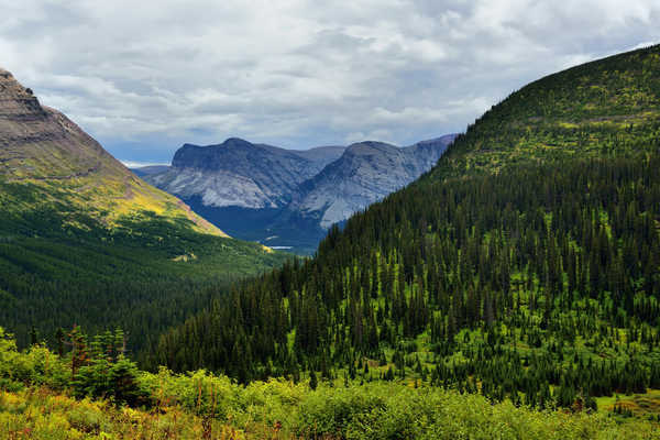 poster pegunungan Mountains Forests Alps 1Z