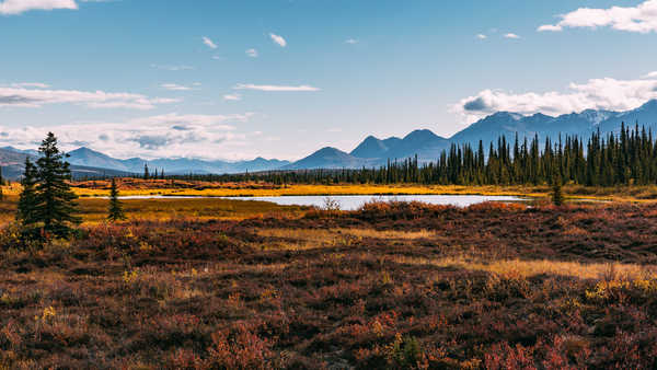 poster pegunungan Scenery Mountains USA Alaska Rivers Grass 1Z