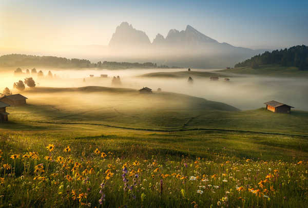 poster gunung Morning Mountains Italy Grasslands Dolomites Fog 1Z