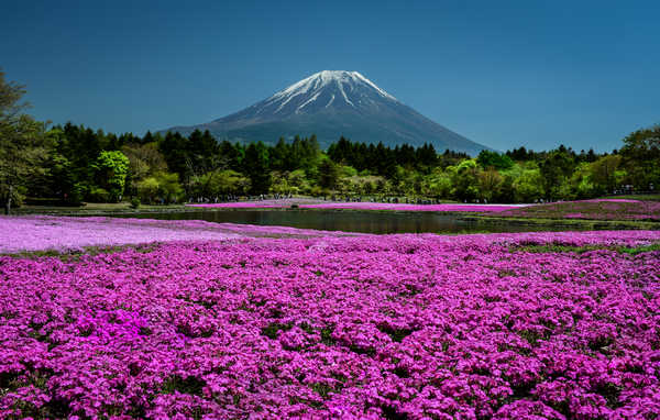 poster gunung Japan Kyoto Parks Phlox Mountains Pond 1Z