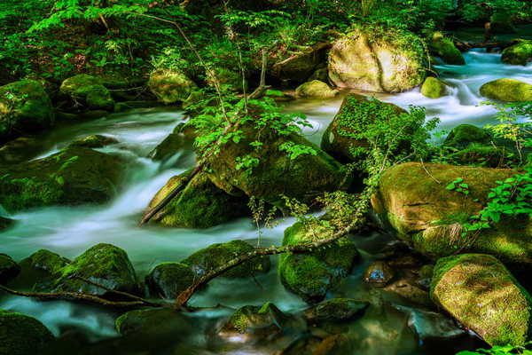 poster pemandangan alam gunung Japan Stones Oirase Mountain Stream Towada Stream 1Z