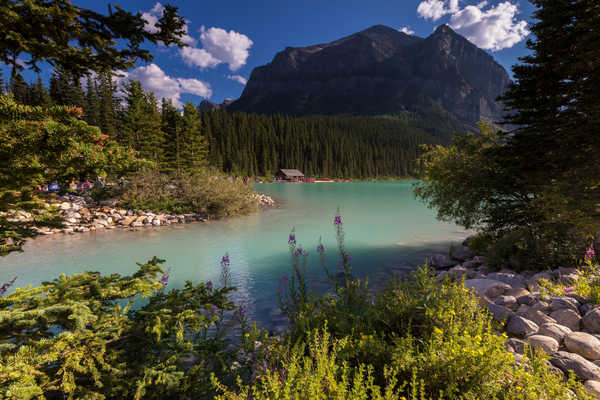 poster pegunungan Canada Mountains Lake Forests Stones Alberta 1Z