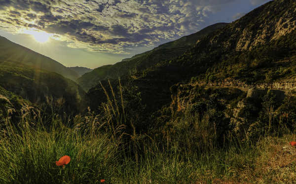 poster gunung France Mountains Poppies 1Z