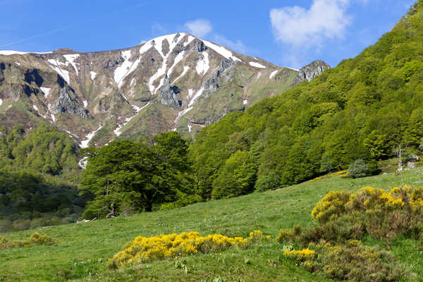 poster pemandangan alam gunung France Mountains 1Z 002