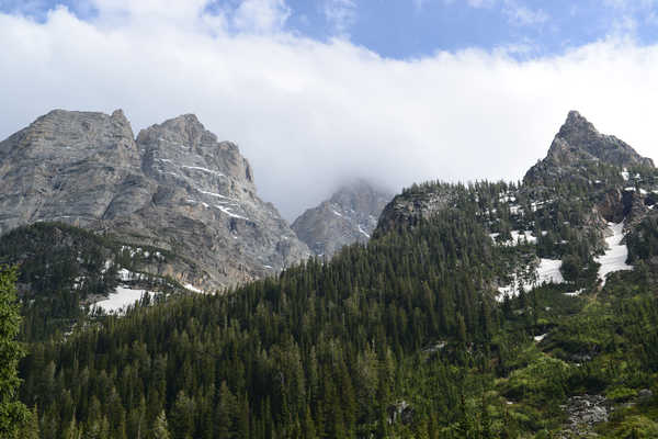 poster pemandangan alam gunung Mountains Forests Autumn Scenery Parks Grand Teton 1Z