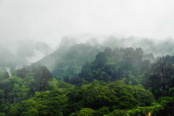 poster pegunungan Mountains Forests Laos Fog 1Z