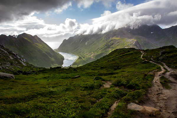 Poster Pemandangan Gunung Norway Lofoten Mountains Grass 1Z