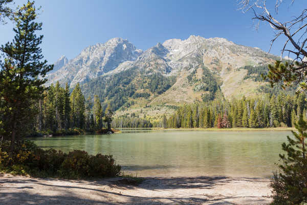 Poster Pemandangan Gunung Mountains Forests Parks USA Grand Teton National 1Z