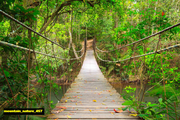 poster pemandangan alam gunung mountain 457