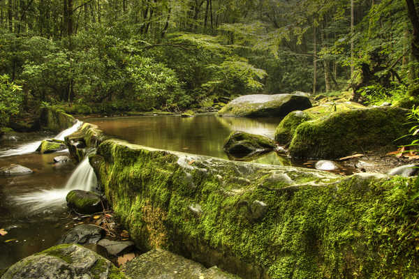 poster gunung USA Parks Stones Great Smoky Mountains National 1Z