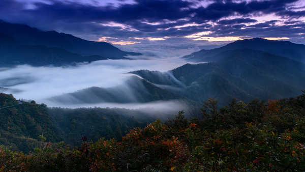 poster gunung Fog Landscape Mountain Nature Earth Fog APC 002