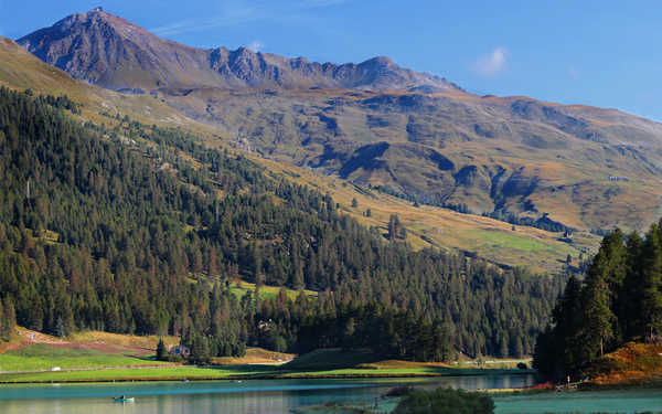 poster pegunungan Switzerland Mountains Lake Forests 1Z