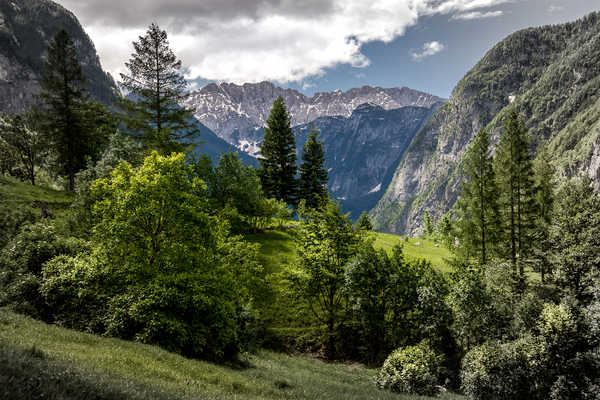 Poster Pemandangan Gunung Slovenia Mountains 1Z