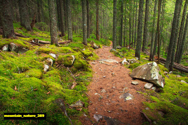 poster gunung mountain 389