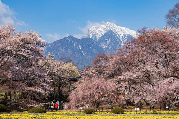 Poster Pemandangan Gunung Japan Parks Mountains Flowering trees Hokuto 1Z