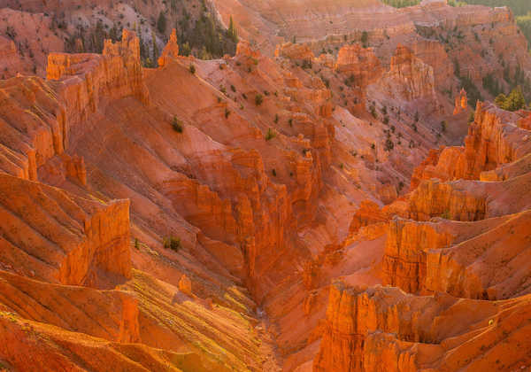 poster pemandangan alam gunung USA Parks Mountains Cedar Breaks National Monument 1Z