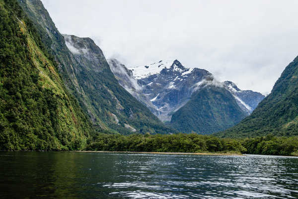 poster pegunungan New Zealand Mountains Forests Harrison Cove 1Z