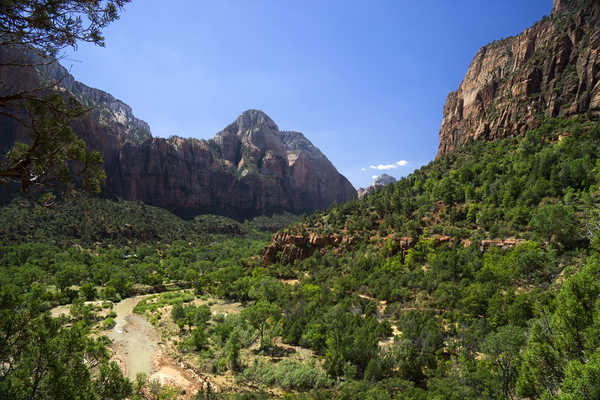 poster pemandangan alam gunung Zion National Park USA Parks Mountains 1Z
