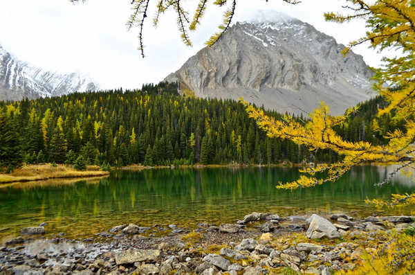 poster pemandangan alam gunung Alberta Canada Fall Forest Lake Mountain Lakes Lake APC