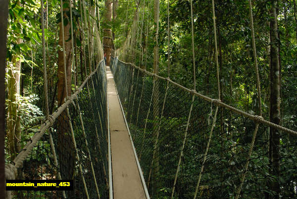 poster pemandangan alam gunung mountain 453