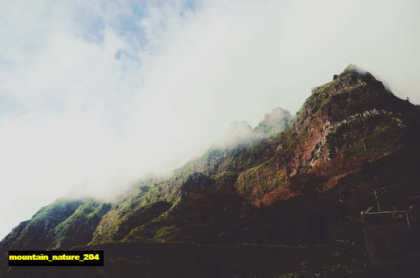 Poster Pemandangan Gunung mountain 204