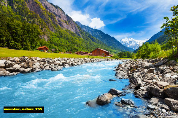 poster pemandangan alam gunung mountain 255