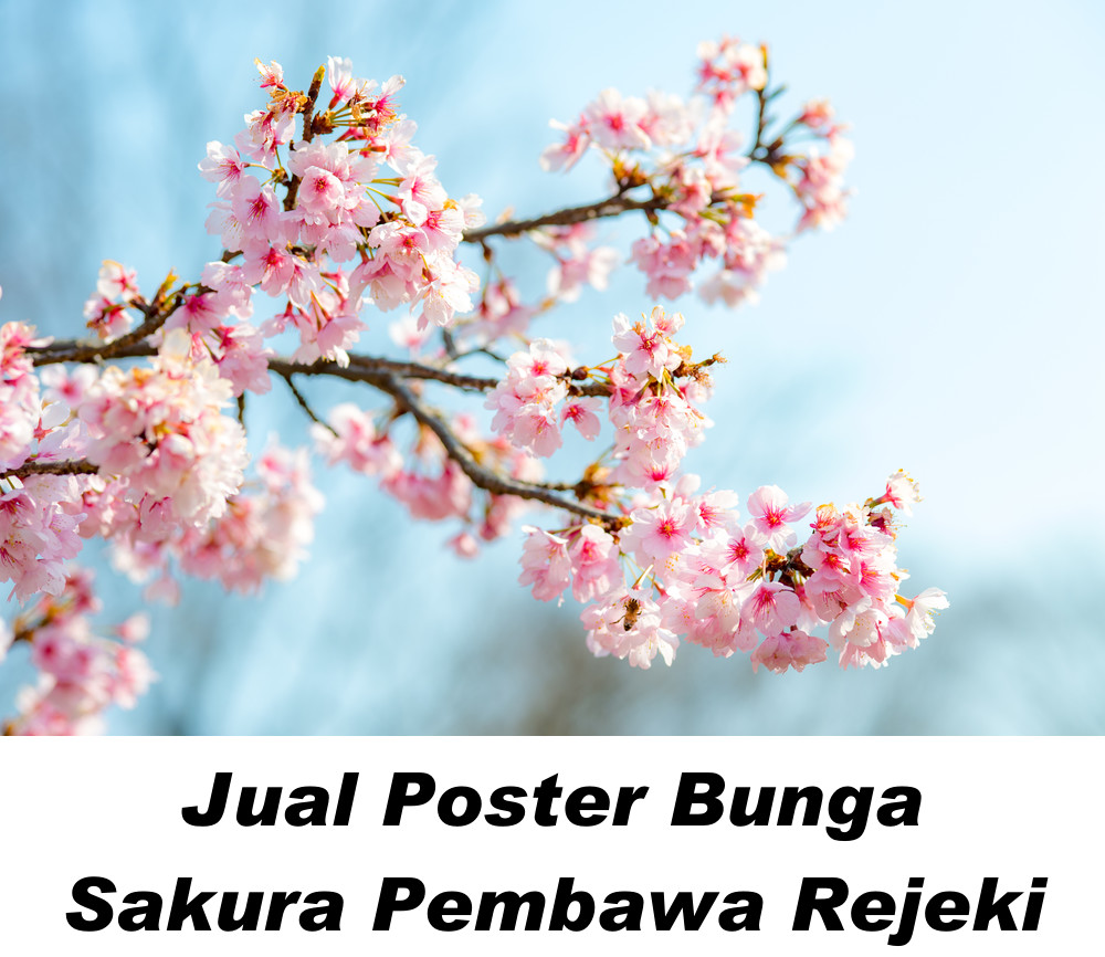 Gambar Bunga Plum Blossom Menurut Feng shui Untuk kemurnian, kekuatan, dan keabadian