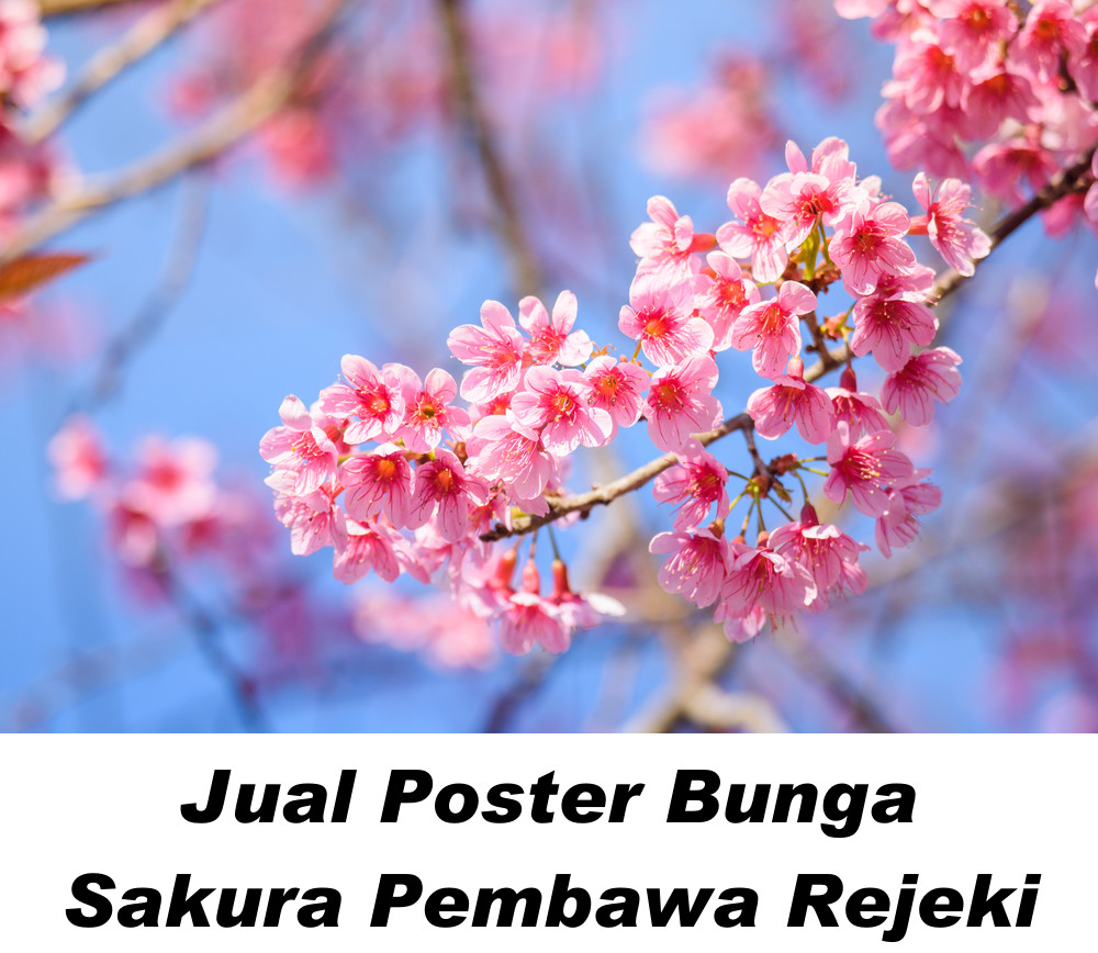 Gambar Bunga Plum Blossom Menurut Feng shui Untuk kemurnian, kekuatan, dan keabadian